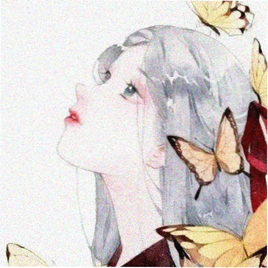 影迷十七张碟头像